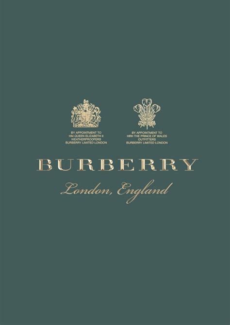 burberry brand guidelines